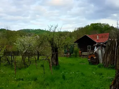 anexă hambar lângă casă vânzare cumpărare Provița de Jos Prahova
